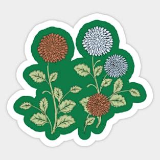 Chrysanthemums Sticker